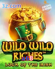 a68 slot wild wild riches
